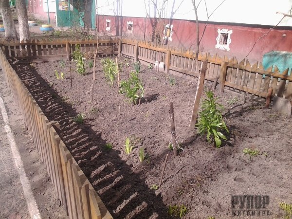 � ������� ���� ������� ������ ��������� �������, �� ������������ ����