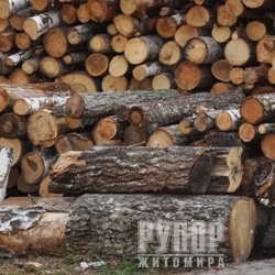 ������ ��� ���� ������ ������ - �ᒺ����� ������� �����������
