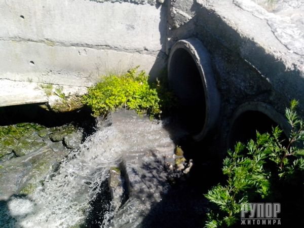 � ������� ��������� � �������� ��� ����������� �������� ���� ���������� ������ ���. ����