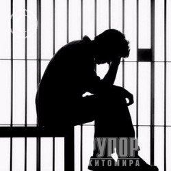 � ������� � Ѳ�� ����������� 14-����� �����������