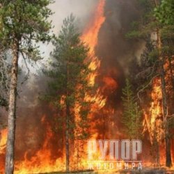 5 ���� ������� ���������: �� ����������� ����������� ����� ��������� �� ������� ������ �� ���������� ��������� ���������� ���