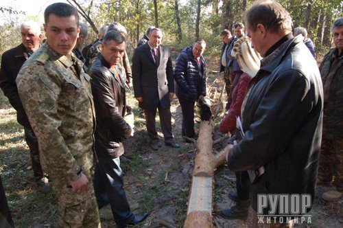 Житомирські лісівники б'ють на сполох: ліси всихають шаленими темпами Житомирські лісівники б'ють на сполох: ліси всихають шаленими темпами