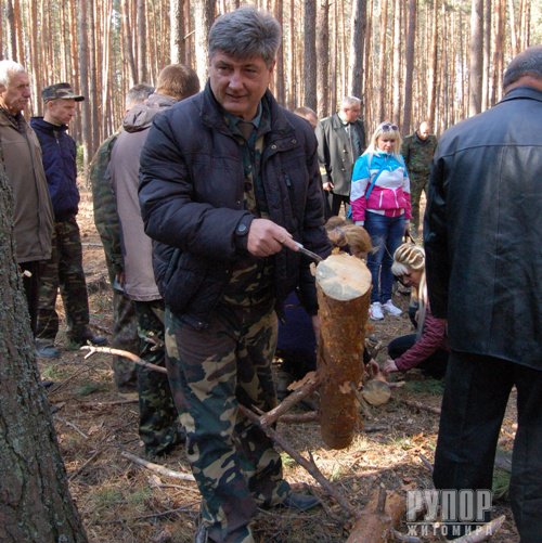 Житомирські лісівники б'ють на сполох: ліси всихають шаленими темпами Житомирські лісівники б'ють на сполох: ліси всихають шаленими темпами