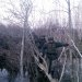 �� ����������� �������� ������ � ������� ��������� ������ ����� ����������� ��������� ��������