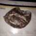 � ������� ��������� �������� � ���������