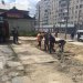 � ������� ����������� ������� ���� �� ��������� ���. ������� �����/���. ��������