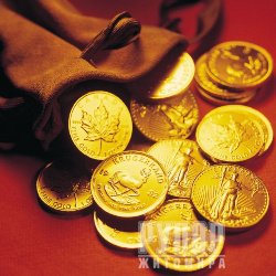 �������� ������� ������������ �������� �� ������� ����� 0,5 ������� ������� �� �����