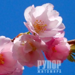 ����� ����� � ������ ������ �������� � ����� �������� ���� �����