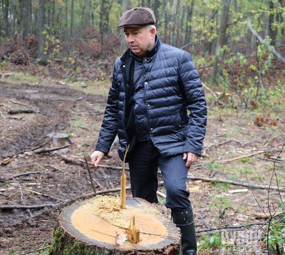 Володимир Арешонков про правові прогалини в лісокористуванні, зловживання службових осіб та замкнене коло, яке повинна розірвати громадськість Володимир Арешонков про правові прогалини в лісокористуванні, зловживання службових осіб та замкнене коло, яке повинна розірвати громадськість
