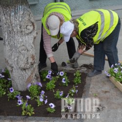 � ������� ������ ����������� ���������� ������
