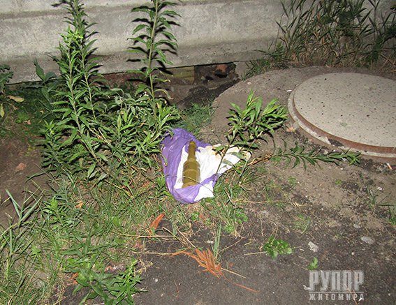 � ������� ��������� �������� � ��������� ������ ������ �������. ����