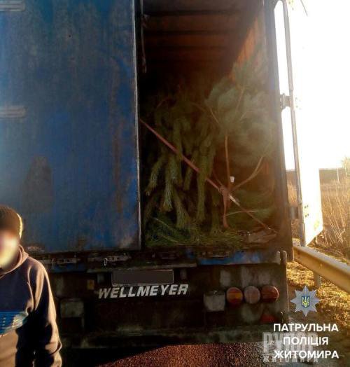 ϳ� ��������� ��������� ��������� � ������� ��� ����������. ����