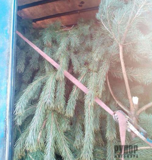 ϳ� ��������� ��������� ��������� � ������� ��� ����������. ����