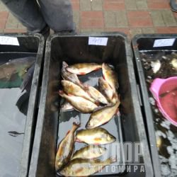 ������������ ������������� ������� ������� 38 �� ���������� ���� �� ��� ������  