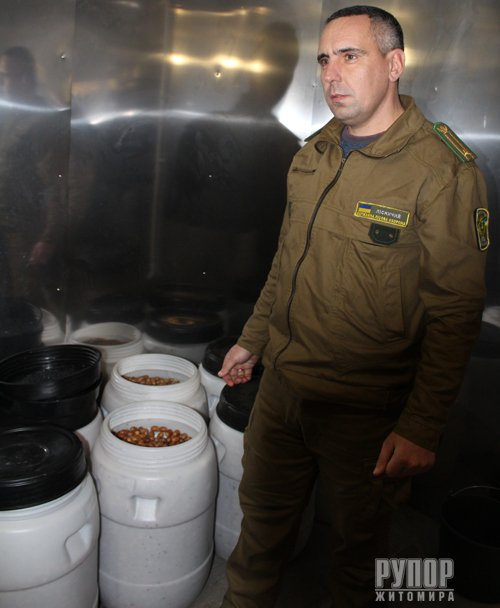 �� ����������� ��������� �������� ����� � ������ ���� ������� ����������