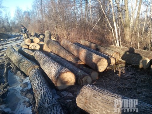 �� ����������� ������� ����� �� ����� ������� 73 ������ ����. ����