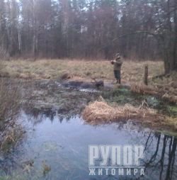 ϳ� ��������� ������� ��� ������������ ����