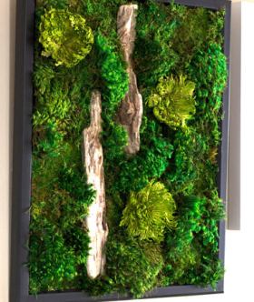 Как создать в своем доме комфорт с помощью фитопанели и декоративного камня Как создать в своем доме комфорт с помощью фитопанели и декоративного камня