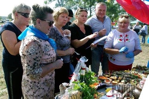  ,     .   Fish Food Fest