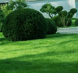 Ландшафтный дизайн: Или как загородный коттедж превратить в райское место Ландшафтный дизайн: Или как загородный коттедж превратить в райское место