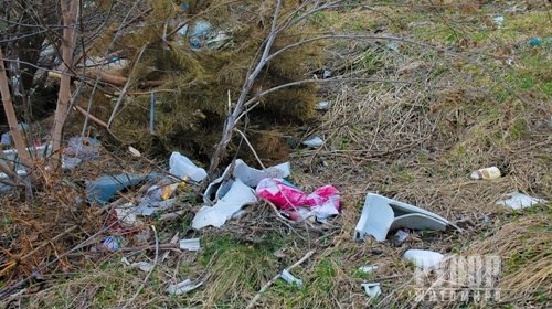 � ������ #TrashtagChallang ����� ��������� ������� ����� � ����������