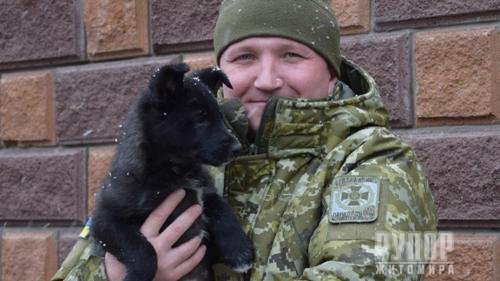 ������� �������� ���������� ������ � ������, ����������� �� �������� �� ������� ��������