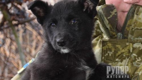 ������� �������� ���������� ������ � ������, ����������� �� �������� �� ������� ��������