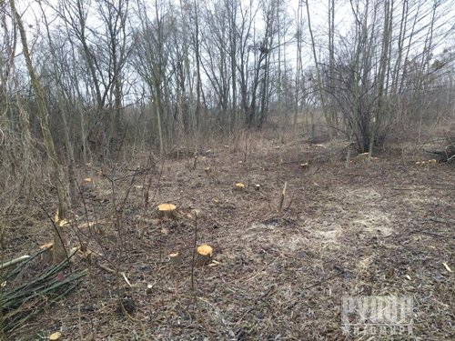 � ����� ���� ������� �������� ������. ����