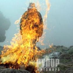 � ����������� ������ ������ ������� ������ �������