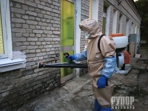   ,      COVID-19,    ᒺ 