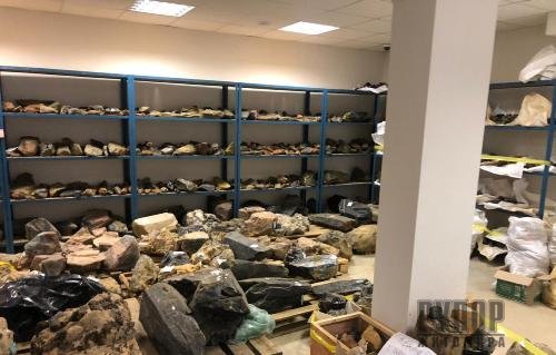 ϳ� ��� ���������� ������ �� ����������� �� ��� �������� 10 ���� ������������� ������