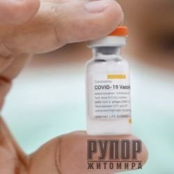   COVID-19  :     2,5    CoronaVac