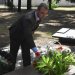���� ���� �������� ������� �� ����� ������, � � ����� ������ ����, �  ��������� ������ ��� ����������� �����������