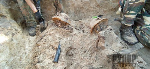 На Житомирщині під час розкопок виявили останки 12 солдатів Вермахту. ФОТО На Житомирщині під час розкопок виявили останки 12 солдатів Вермахту. ФОТО