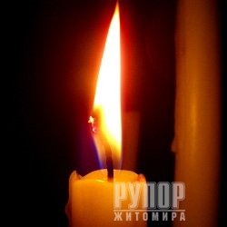       COVID-19  8    46  67 