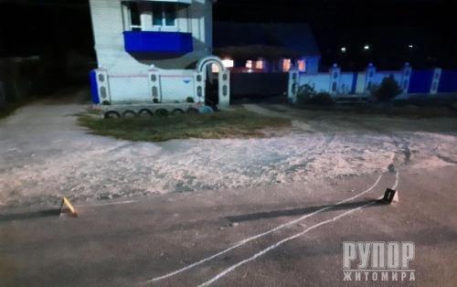     -  Renault Trafic,   ,  