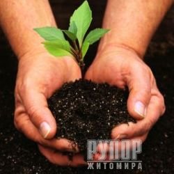 ������� ����������� ������������ 10% ����� �� ������� ������ � ����������