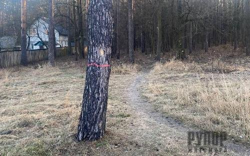 ������ ����������� ���������: �������� �� ������ �������� �� �������!