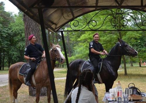 � ��������� ������� ��������� �������� ����������� ������