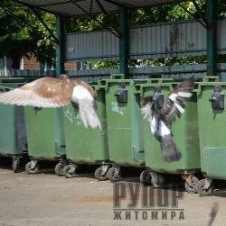 � ������� ������ ����� �� ��������� �����