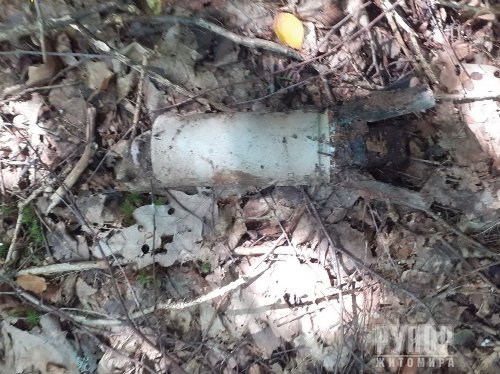 �� ����������� �������� ������� ��������� �� ���������� ������ ��������� ����� ��������