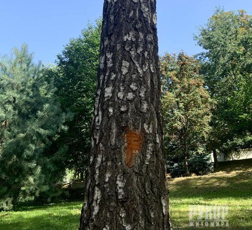 � ������� ������� ��������� ���� ����� � ������������� �����