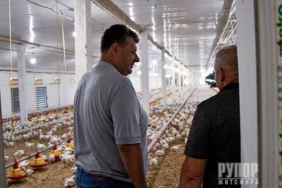 ϳ��������� ����������� ����������� ��������� ����� ����, � ³���� �������