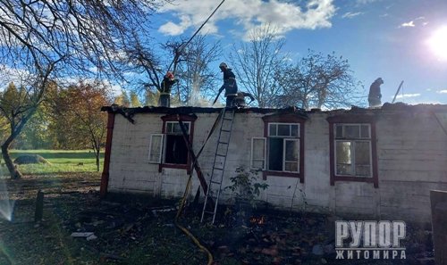 ������� �� �����������: ϳ� ��� �������� ����� �������� ������� ���� ����