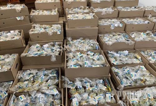 ��� ��������: 3000 ����� �������� � ���� � ���� ��� � ����� �� ����� ���������