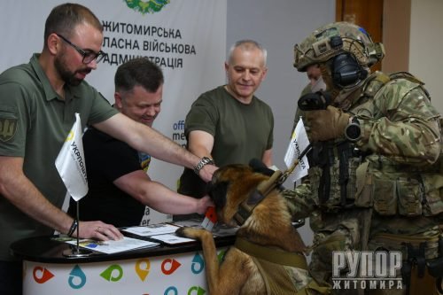 � ������� �������� ������������ ���� ����� ��������, ���������� ���