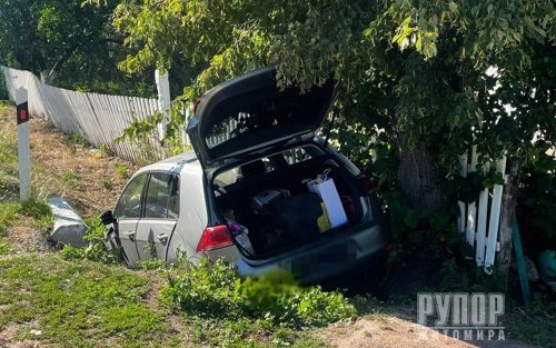 ϳ  39-     Volkswagen  