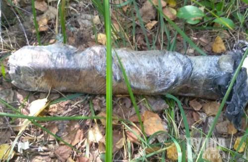 2 �� �������: �� ����������� ������������� ��������� ���������� ����������� �������