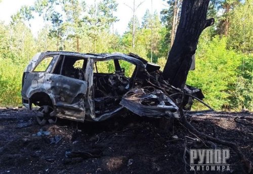 ��������� �� ���������: 34-���� ������ �Suzuki� �������� � ������ - ��������� ��������