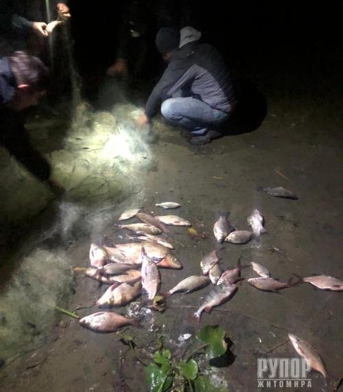 ,             ,   800  